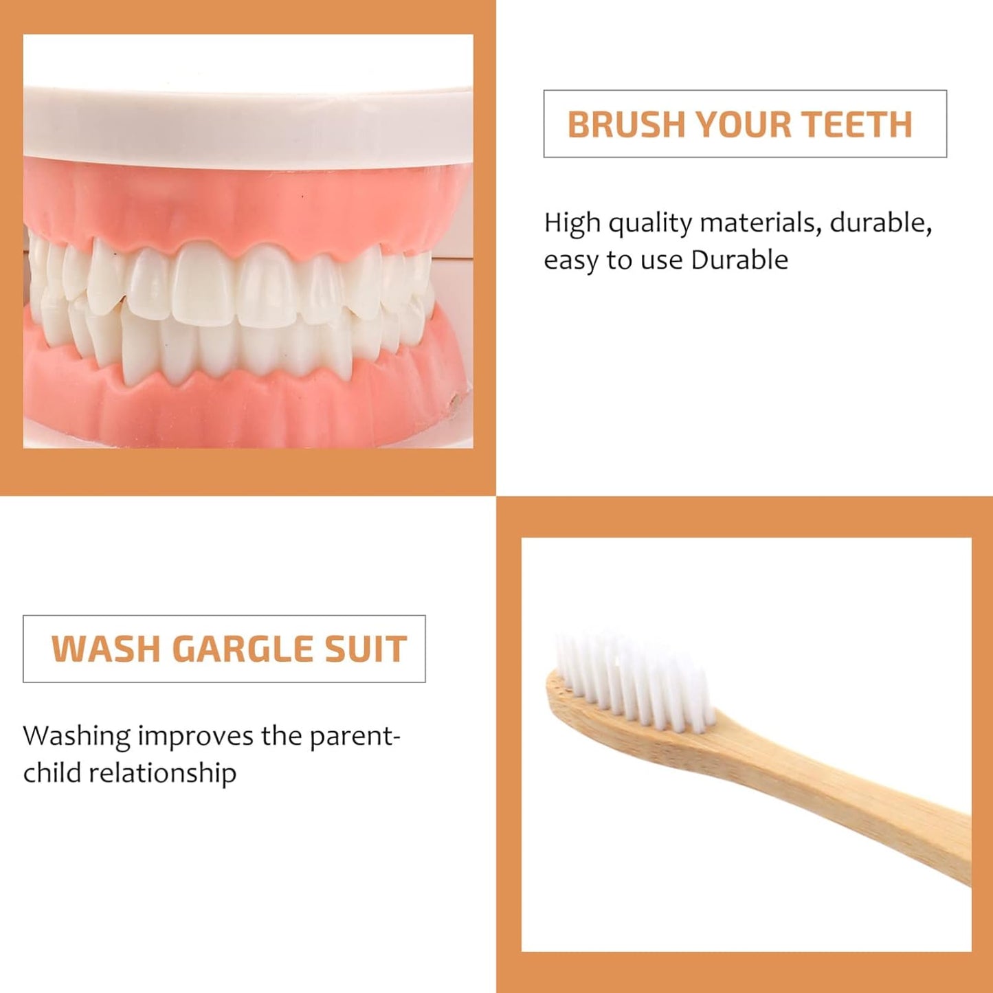 Montessori Brushing Teeth Model