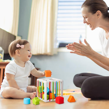 Montessori Fine Motor Shape Blocks