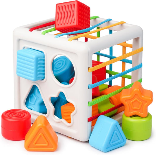 Montessori Fine Motor Shape Blocks