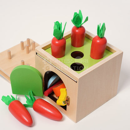 Montessori 6-in-1 Sorting Tool