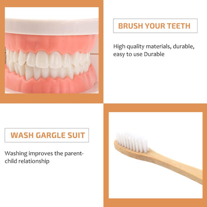Montessori Brushing Teeth Model