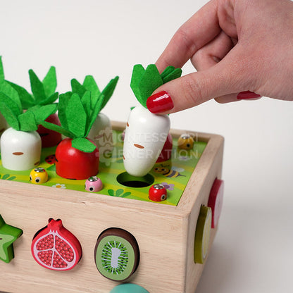 Montessori Carrot Wheels