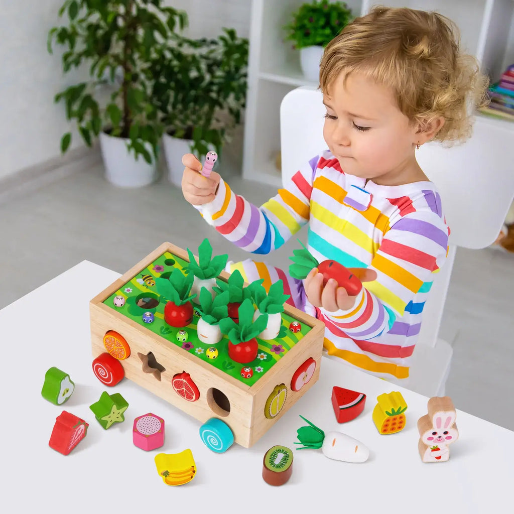 Montessori Carrot Wheels