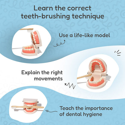 Montessori Brushing Teeth