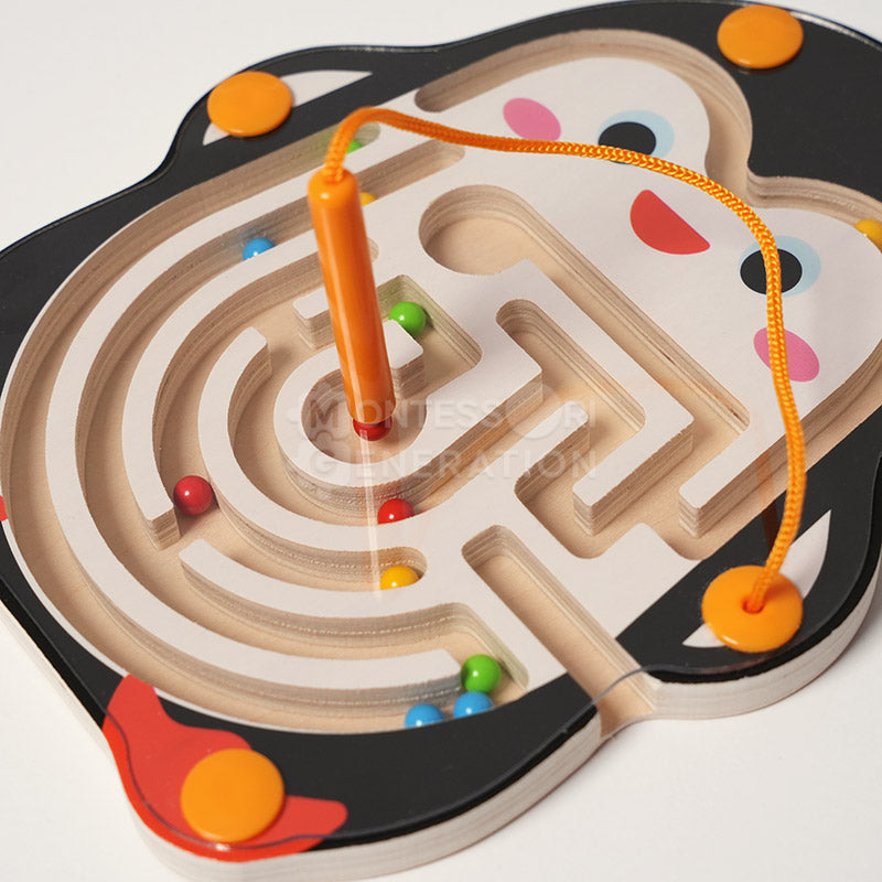 Montessori Magnetic Maze