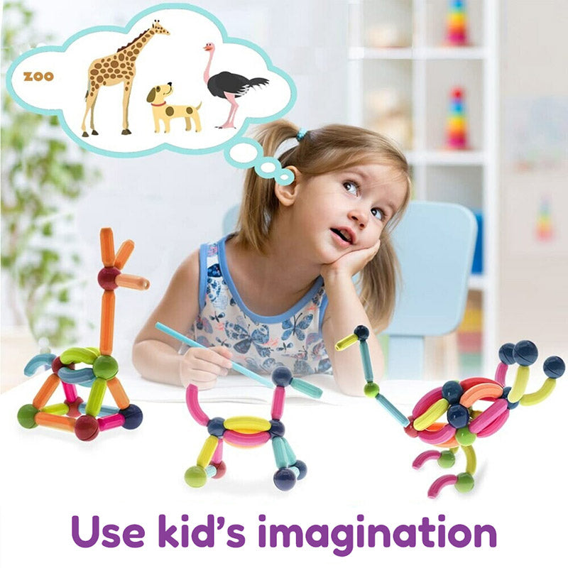 Montessori Magnetic Set