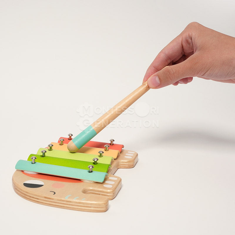 Montessori Music Set