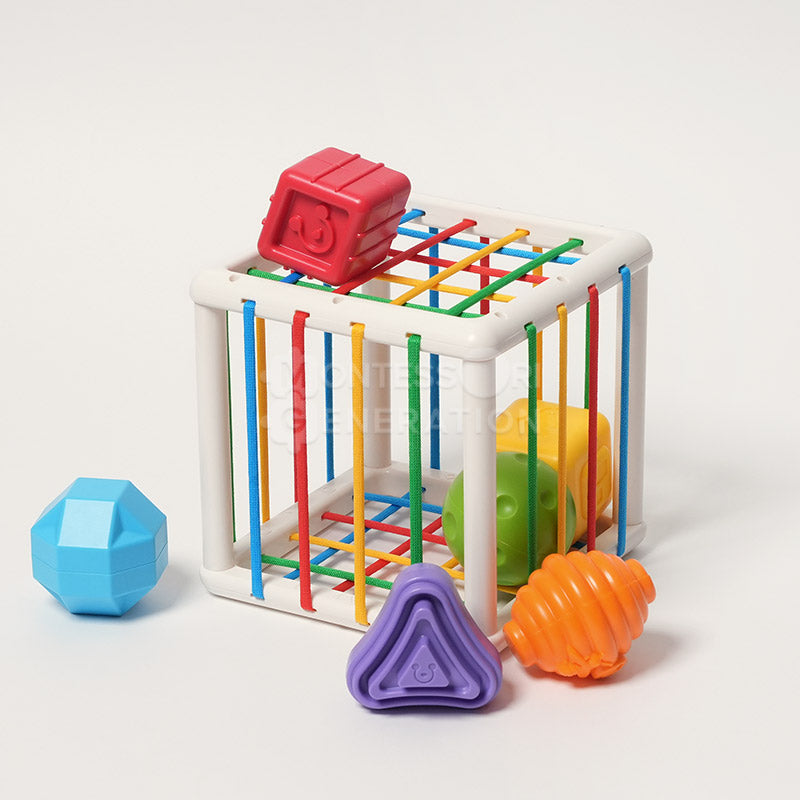 Montessori Shape Blocks