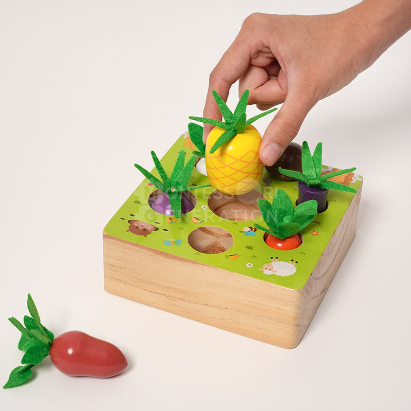 Montessori Vegetable Set