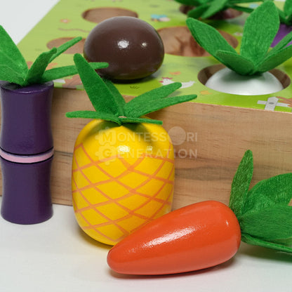 Montessori Vegetable Set